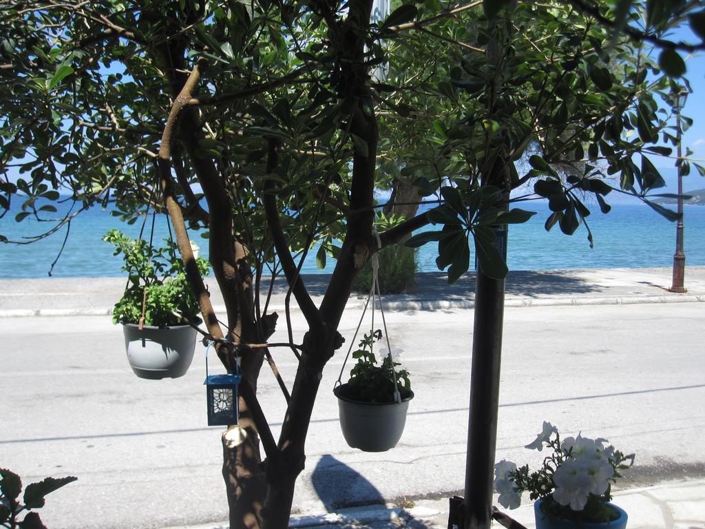 Gorgona Apartment Milina Exterior photo